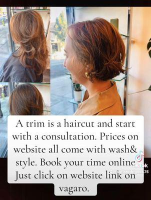 Studio Eden and Company