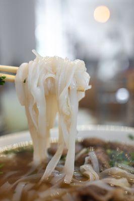 Fresh Noodles (50¢)