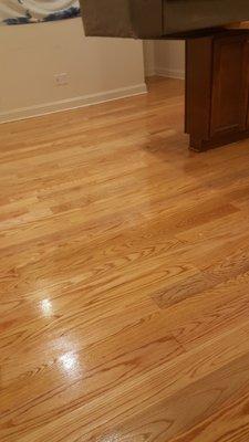 SCR Wood Flooring