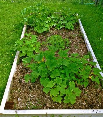 The Sky's the Limit Preschool