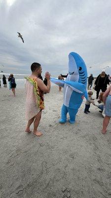 Long Beach Polar Bears