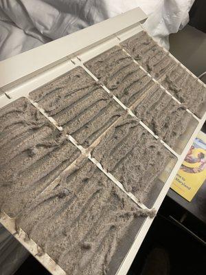 The disgusting air filters