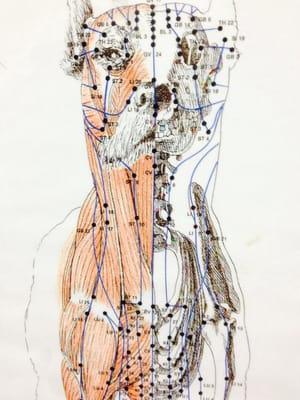 Cherrydale Veterinary Clinic