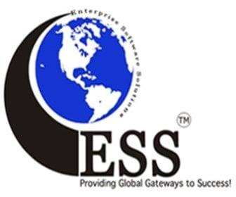 Enterprise Software Solutions LLC