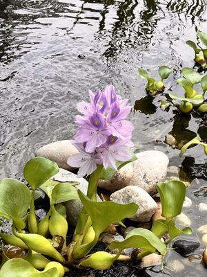Ineffable Wine and Beer Garden