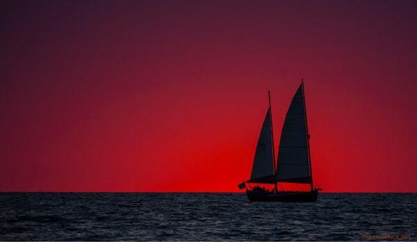 Blackduckcharters.com