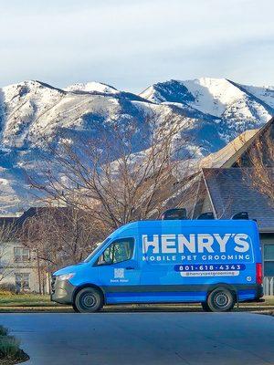 Henry's Pet Grooming