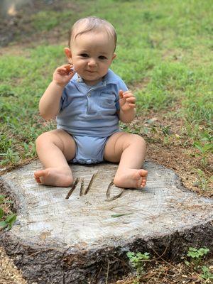 Woody Woodpecker Tree Service