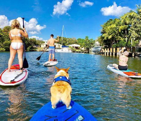 SUP PUP Paddleboard