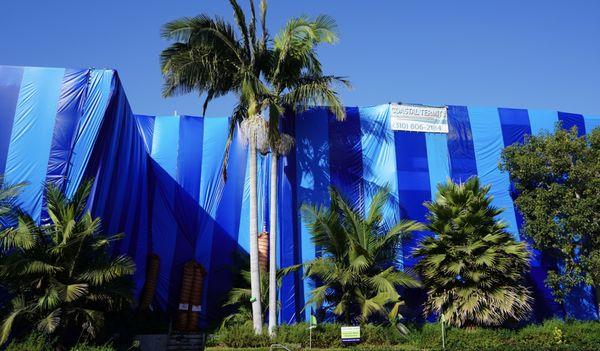 Coastal Termite Inspections