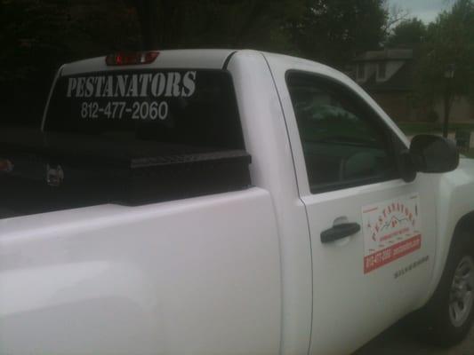 Pestanators