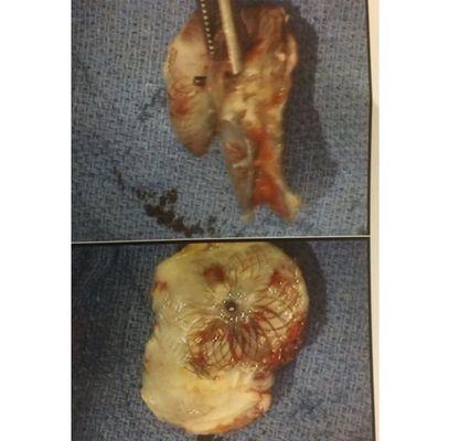 Berdjis Farhouch L MD Uci Medical Group