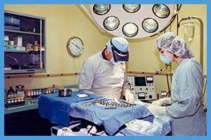 Brenner Animal Hospital