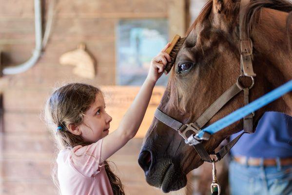 Hollowbrook Riding Academy