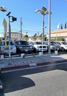 Carzone Automotive Dealer Lot