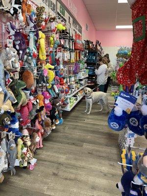 Woof Gang Bakery & Grooming Nocatee