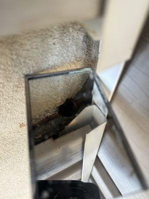 Round Up Pest Control