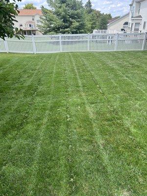Thornhill Landscaping
