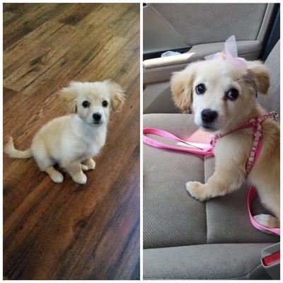 Can't really see a big difference, but she looks (and smells) so much better now!