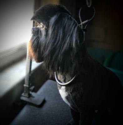 Mohawk for the girls