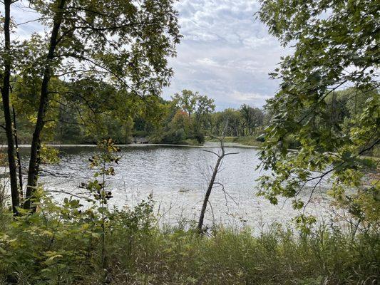 Captain Daniel Wright Woods Forest Preserve