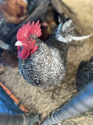 Eugene Textile Center