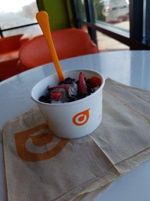 Orange Leaf Frozen Yogurt