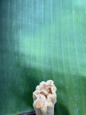 Fusion of Ice Cream and Crepes