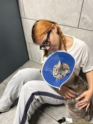 Callaghan Road Animal Hospital