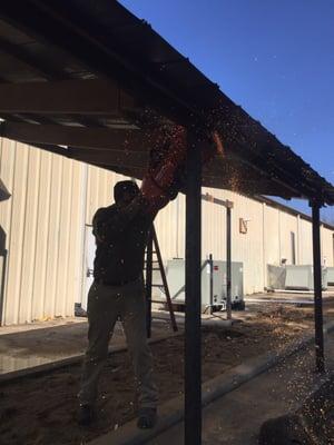 Coastline Concepts Landscaping