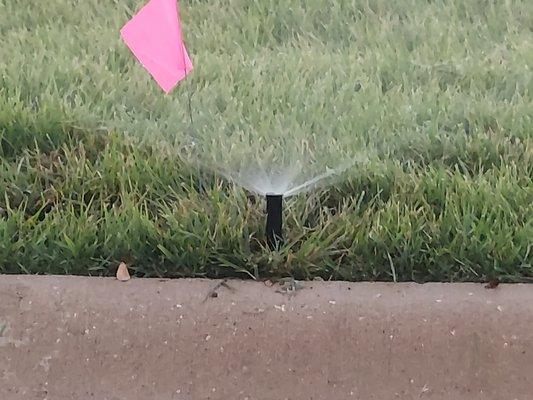 Spray heads replacement and adjustments