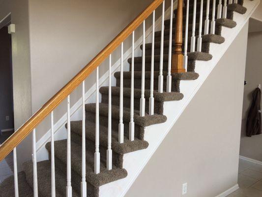 Stainmaster Carpet, classic plush, style: Martin color: Inca Gold