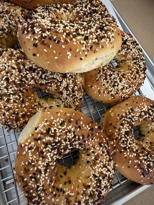 Fresh made bagels