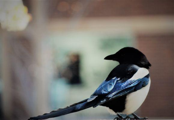 EHMS Photography