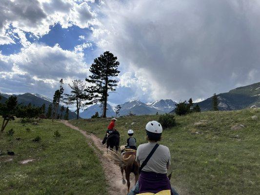 Erik constantly checked on us!