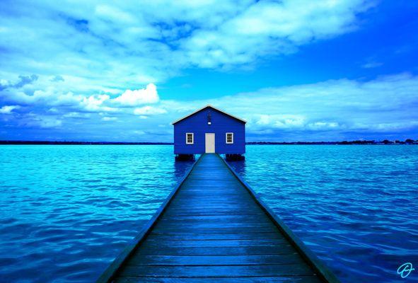 Fabio Dal Boni, the resident artist of AlexArt International Art Gallery in Sarasota, 25 N Pineapple Ave, Downtown