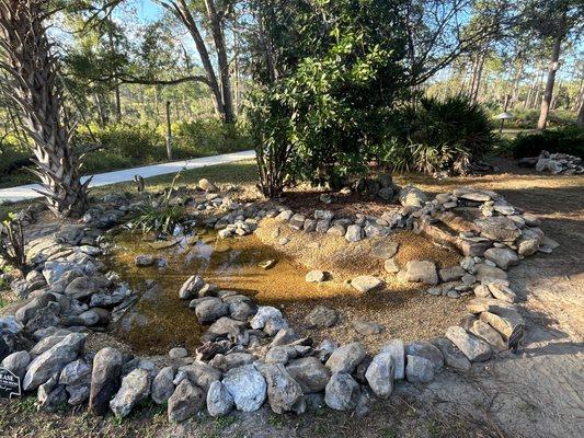 Waterfall and pond with a beach area, rocks to stand on throughout, and shallow water for birdwatching