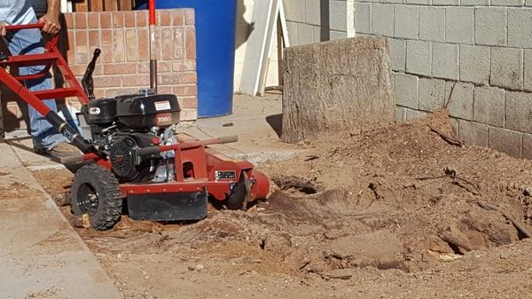 Affordable Tree Care