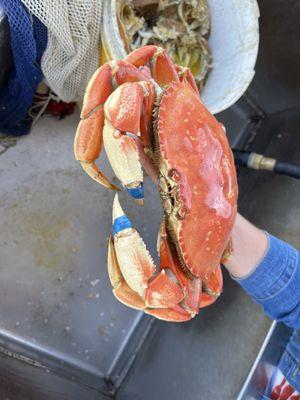 ShrimpDaddy’s Bait & Tackle Shack