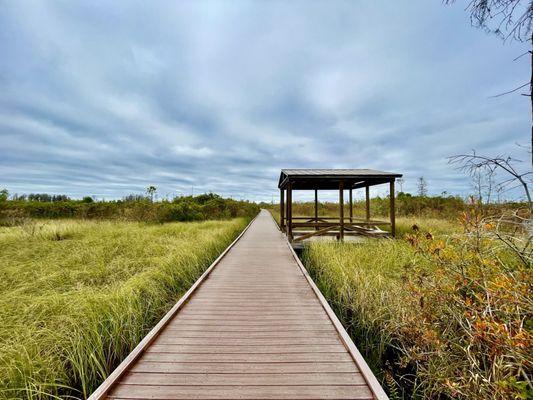 Okefenokee National Wildlife Refuge
