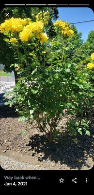 Concord Arms Apartments