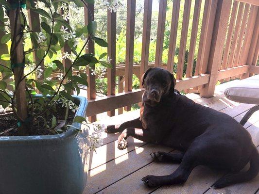 Busenbark Physical Therapy & Wellness