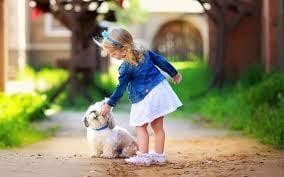 Brian Security Systems