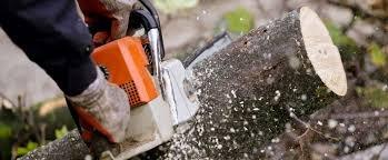 A Beautiful Landscaping