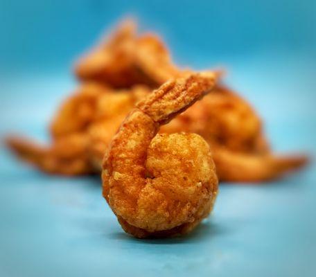 Hook’s Catching & Frying