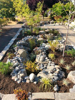 Black Dog Design + Build