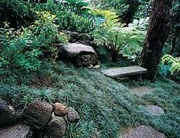 Mulkern Landscaping & Nursery