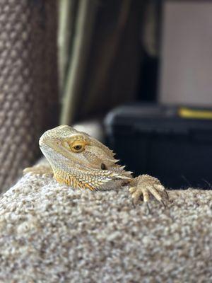 West Liberty Animal Hospital