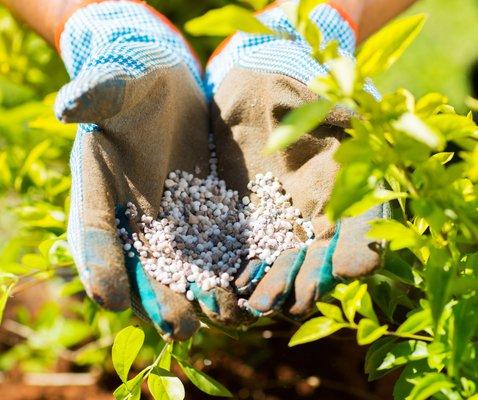 Royal Lawn Care Inc
