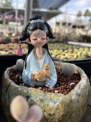 Shiyi Succulent Garden